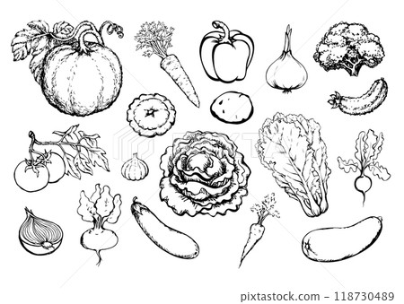 Vegetables set. Vector drawing food object 118730489