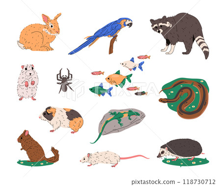 Set of vector animals isolated. Sign for zoo 118730712