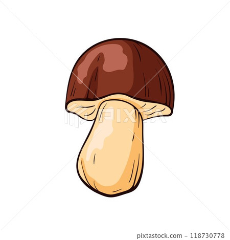 Boletus mushroom with a brown cap and beige stem in cartoon style. Design for culinary project, nature themed and educational materials on fungi and plants. Boletus mushroom with a brown cap and beige stem in cartoon style. Design for culinary project, nature themed and educational materials on fungi and plants. 118730778