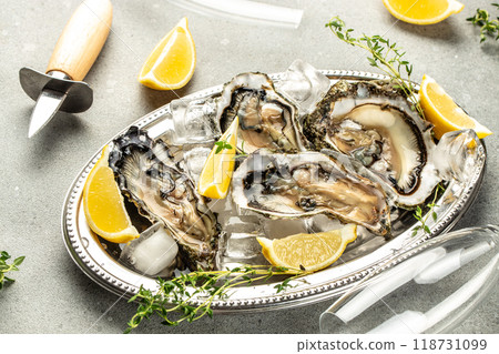 raw oysters on a platter on a light background top view. place for text 118731099