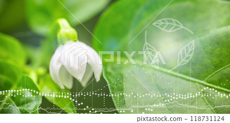 Ecology concept nature background with ai technology holograms icon 118731124