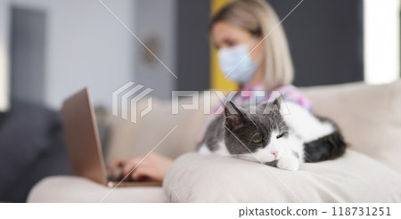 Domestic cat sleeping peacefully on sofa while owner woman working on laptop 118731251