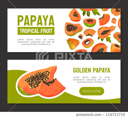 Papaya Fruit Label Design with Cut Section with Seeds and Orange Pulp Vector Template 118731710