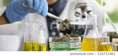 Glass container with marijuana buds on it placed for laboratory investigation 118731962