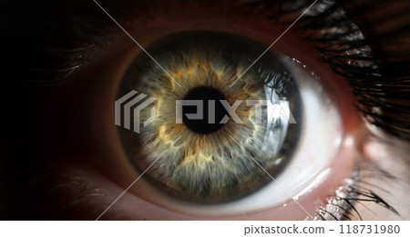 Persons eye with beautiful green shades taken in macro shot 118731980