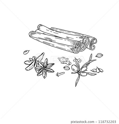 Monochrome cinnamon sticks, sea buckthorn, cloves, star anises, cardamom seeds etching drawing. Hand drawn isolated illustration for the design of invitation, cards, advertising posters. Monochrome cinnamon sticks, sea buckthorn, cloves, star anises, cardamom seeds etching drawing. Hand drawn isolated illustration for the design of invitation, cards, advertising posters. 118732203