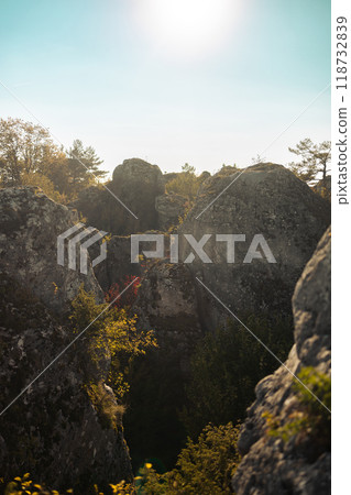 A rocky hillside with trees atop, displaying terrestrial plants and mountainous formations under the sky, presenting a natural landscape 118732839