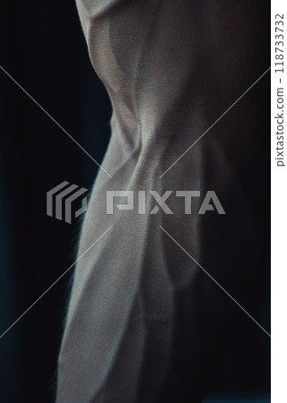 Close-up of power fitness man's hand with prominent veins. Macrophoto of hand of strong young man 118733732