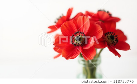 A bright bouquet of red flowers in a glass vase stands out against a clean background. The vivid red petals create a strong contrast. A bright bouquet of red flowers in a glass vase stands out against a clean background. The vivid red petals create a strong contrast. 118733776