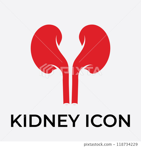 kidney vector illusrtation kidney vector illusrtation 118734229