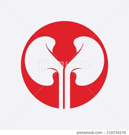 Kidney icon vector. Kidney icon vector. 118734276