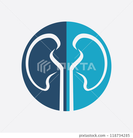 Kidney icon vector. Kidney icon vector. 118734285