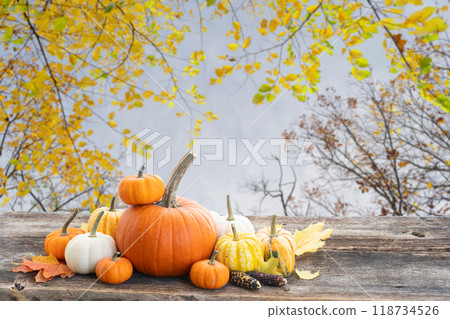 pumpkin on table 118734526