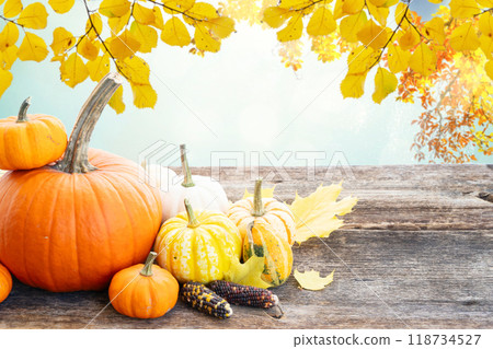 pumpkin on table 118734527