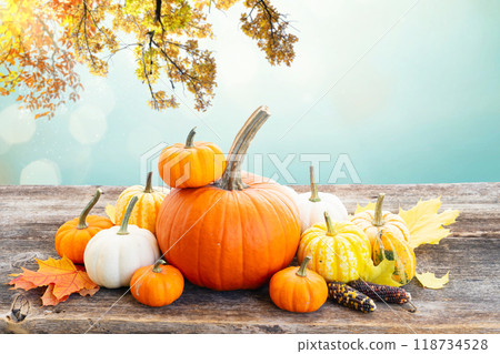 pumpkin on table 118734528