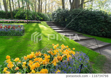 fresh lawn with flowers 118734798