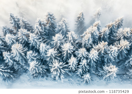Snow-covered evergreen trees in a winter landscape captured from above during a tranquil morning. Snow-covered evergreen trees in a winter landscape captured from above during a tranquil morning. 118735429