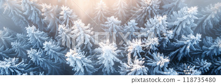Frost-covered evergreen trees bask in soft sunlight during a serene winter morning in a snowy forest landscape. Frost-covered evergreen trees bask in soft sunlight during a serene winter morning in a snowy forest landscape. 118735480