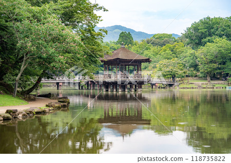Nara Park with pond and deers, in Nara, Japan 118735822