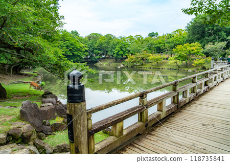 Nara Park with pond and deers, in Nara, Japan Nara Park with pond and deers, in Nara, Japan 118735841
