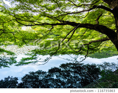 Ryoan-ji temple with its lake and zen garden, in Kyoto, Japan Ryoan-ji temple with its lake and zen garden, in Kyoto, Japan 118735863