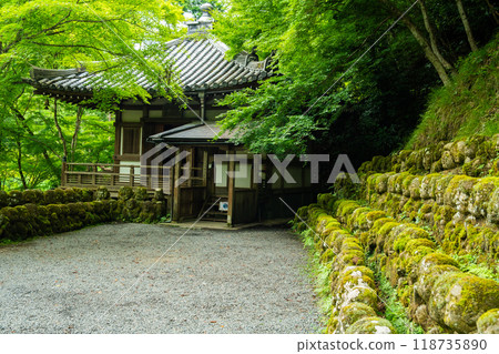 Otagi Nenbutsuji Temple in Arashiyama, Kyoto, Japan Otagi Nenbutsuji Temple in Arashiyama, Kyoto, Japan 118735890
