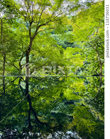 Japanese garden view with reflection and flowers, in Arashiyama Kyoto, Japan Japanese garden view with reflection and flowers, in Arashiyama Kyoto, Japan 118736031