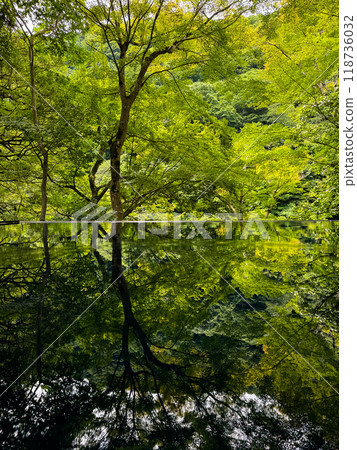 Japanese garden view with reflection and flowers, in Arashiyama Kyoto, Japan 118736032