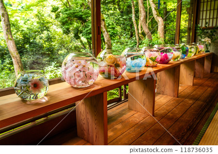 Japanese garden view with reflection and flowers, in Arashiyama Kyoto, Japan 118736035