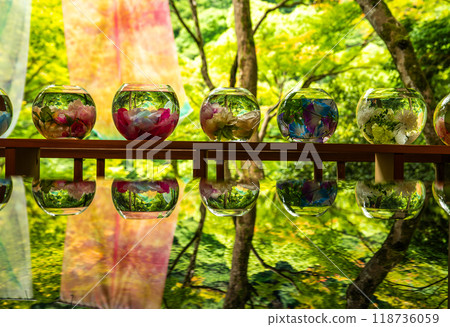 Japanese garden view with reflection and flowers, in Arashiyama Kyoto, Japan 118736059