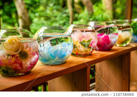 Japanese garden view with reflection and flowers, in Arashiyama Kyoto, Japan Japanese garden view with reflection and flowers, in Arashiyama Kyoto, Japan 118736068