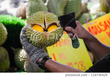 male hands in gloves open ripe durian fruit with a knife 118736420