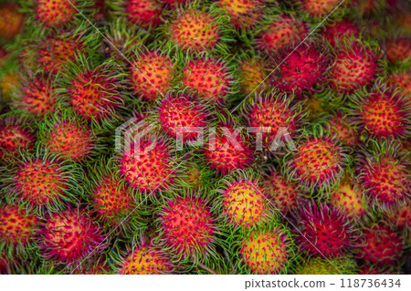 Fresh Rambutan natural beauty highlighting their small round shapes Fresh Rambutan natural beauty highlighting their small round shapes 118736434