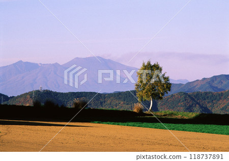 Morning on a plateau farmland overlooking Mount Asama 118737891