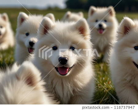 小狗在狗跑道上奔跑 小狗在狗跑道上奔跑 118737947