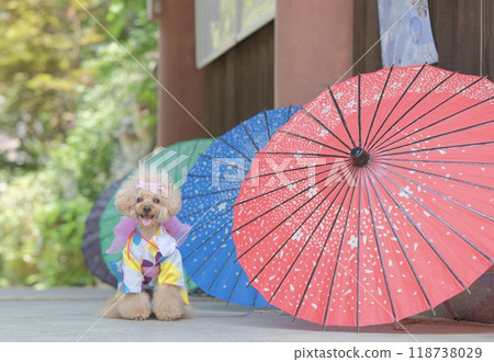 Red Poodle Umbrella Red Poodle Umbrella