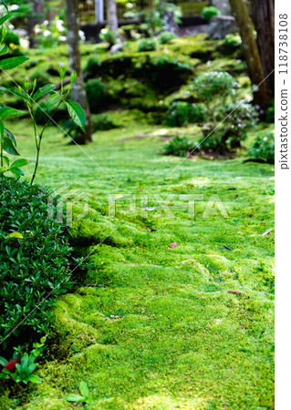 Saimyoji Temple (Koto Sanzan), Scenic Garden (Horai Garden), Moss Garden, Kora Town, Inukami District, Shiga Prefecture 118738108