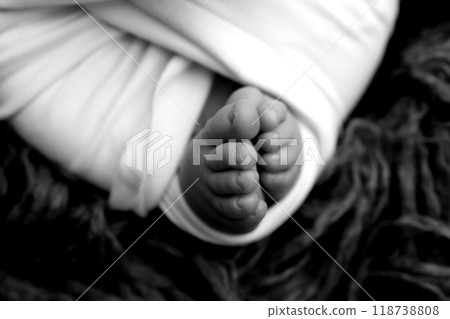 Foot of a newborn. Close up feet, toes, heels, feet of a newborn baby. Studio monochrome, vintage style, black and white macro photography. Foot of a newborn. Close up feet, toes, heels, feet of a newborn baby. Studio monochrome, vintage style, black and white macro photography. 118738808