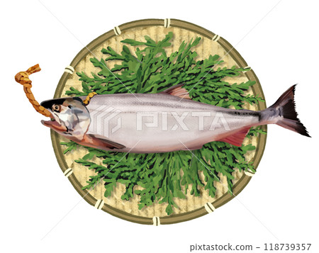 Fresh salmon roll (with colander and cypress leaves) 118739357