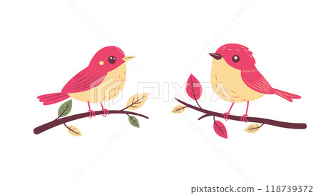 A Pair of Cute Red Robin Bird Animal Perched on Tree Branch 118739372