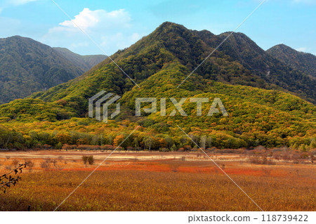 Odashirogahara of autumn leaves Odashirogahara of autumn leaves 118739422