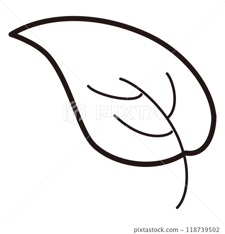 一片葉子的插圖(一張) 一片葉子的插圖(一張) 118739502