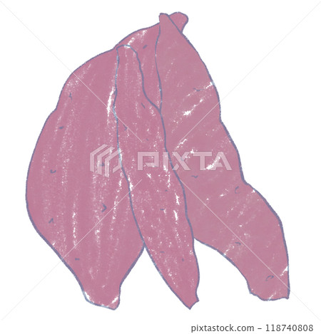 Illustration material of sweet potato 118740808