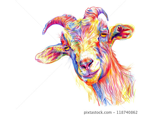 A vibrant, colorful illustration of a goat's head with expressive eyes in colorful pencil strokes, Perfect for farm, animal, and folk art designs. 118740862