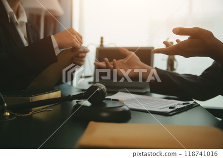 At a modern veterinary clinic, a Panshi Tzu puppy sits on an examination table. Meanwhile, a female veterinarian assesses the health At a modern veterinary clinic, a Panshi Tzu puppy sits on an examination table. Meanwhile, a female veterinarian assesses the health 118741016