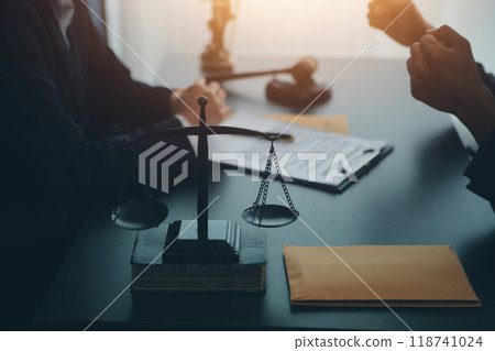 At a modern veterinary clinic, a Panshi Tzu puppy sits on an examination table. Meanwhile, a female veterinarian assesses the health  118741024