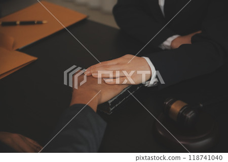 At a modern veterinary clinic, a Panshi Tzu puppy sits on an examination table. Meanwhile, a female veterinarian assesses the health  118741040