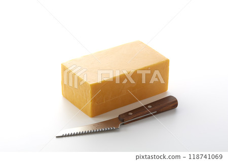 起司 118741069