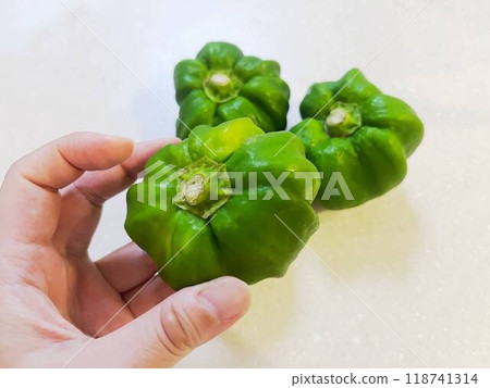 手握神樂南蠻 手握神樂南蠻 118741314