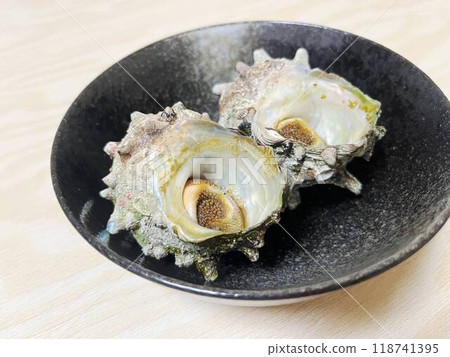 Sazae竹草 118741395